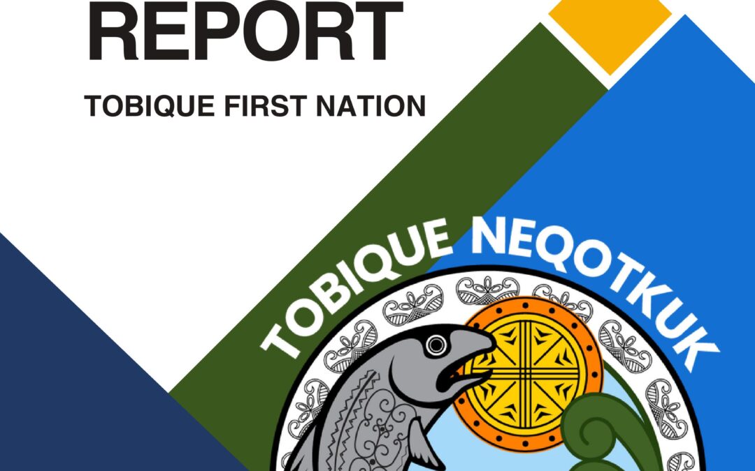 Neqotkuk Annual Report 2025